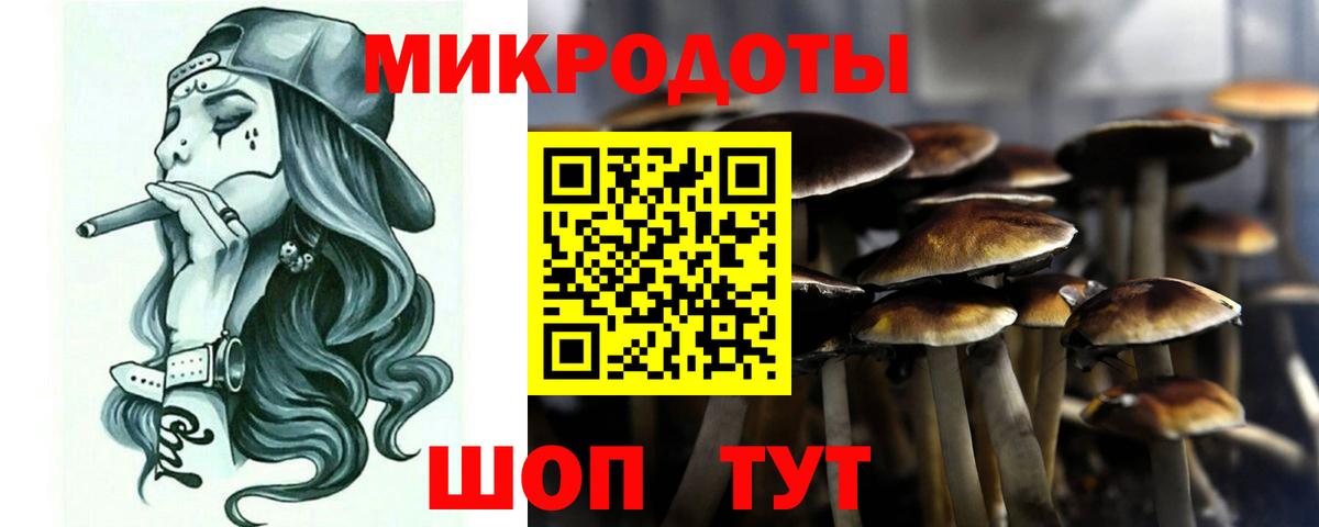Советск  Галлюциногенные грибы мухоморы  где купить наркоту  Вход с VPN 